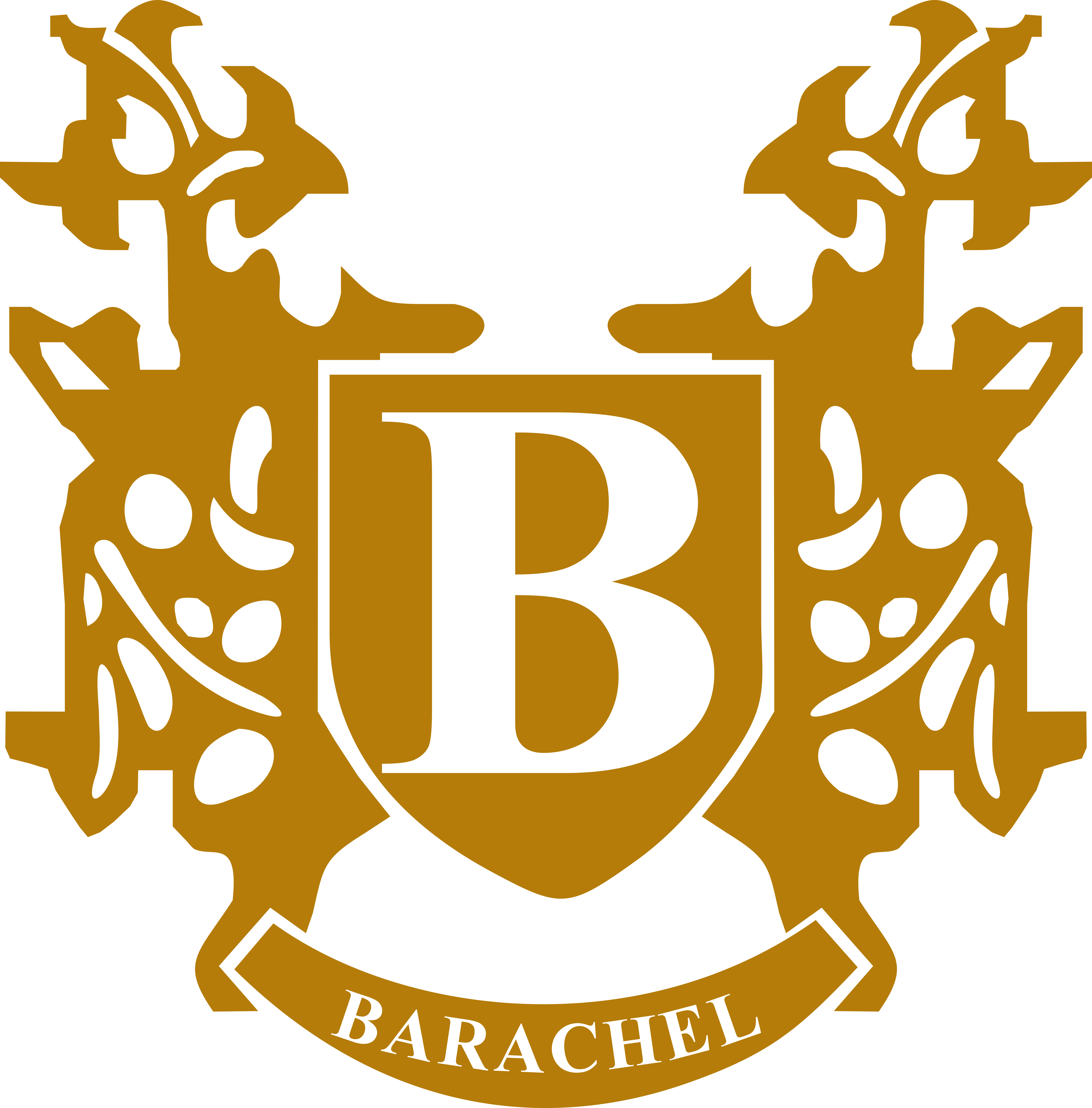 Barachel Global Services Ltd.